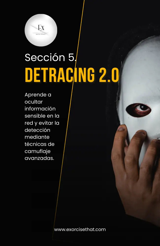 Seccion 5. (650 × 1000 px)