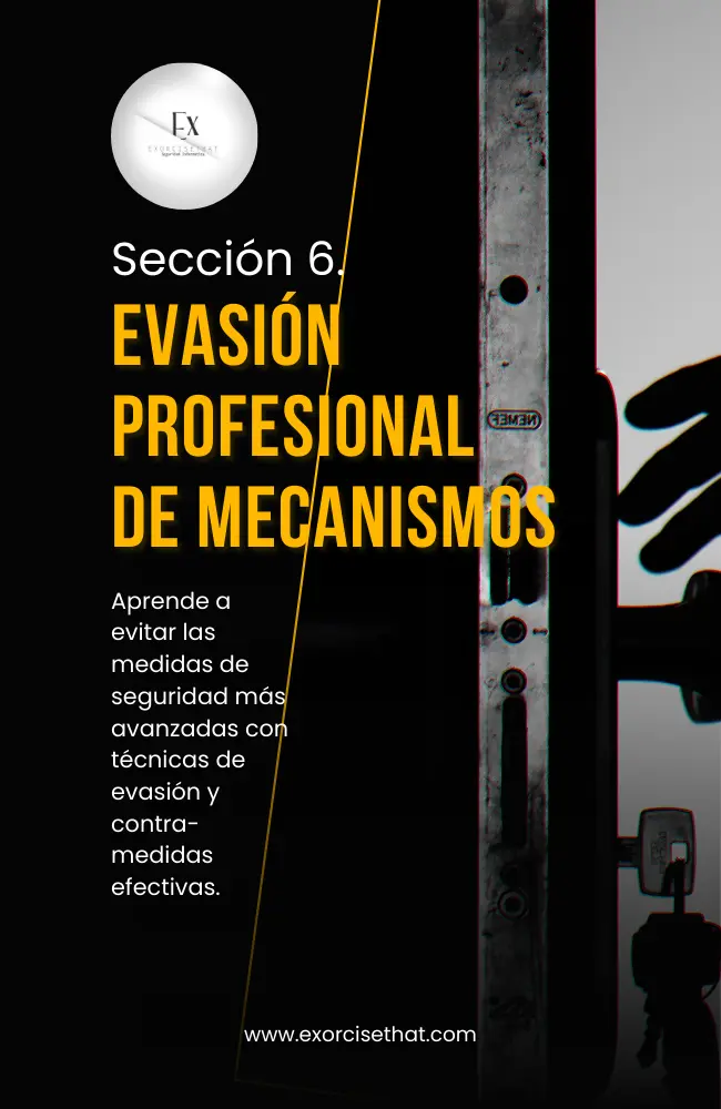 Seccion 6. (650 × 1000 px)