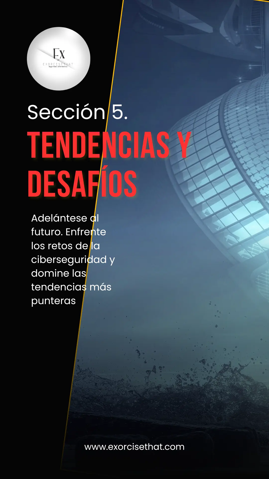 Seccion 5